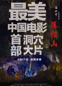 蓝光原盘在线观看