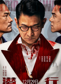 1080HD手机在线观看